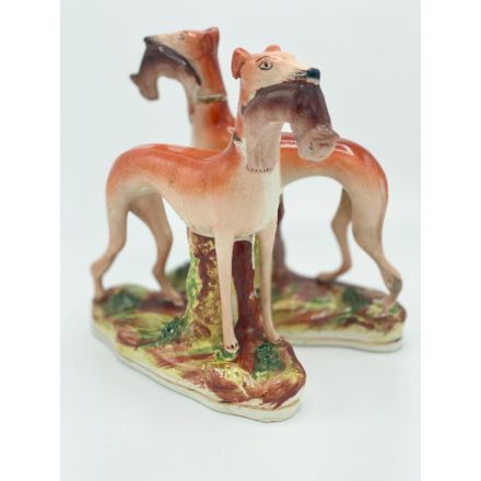 Pair of Staffordshire greyhounds