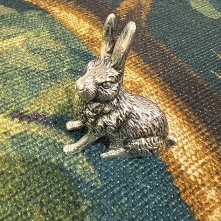 Silver miniature rabbit